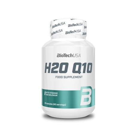 H2O Q10