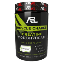 MUSCLE CHARGE 350g - ALL SPORTS LABS