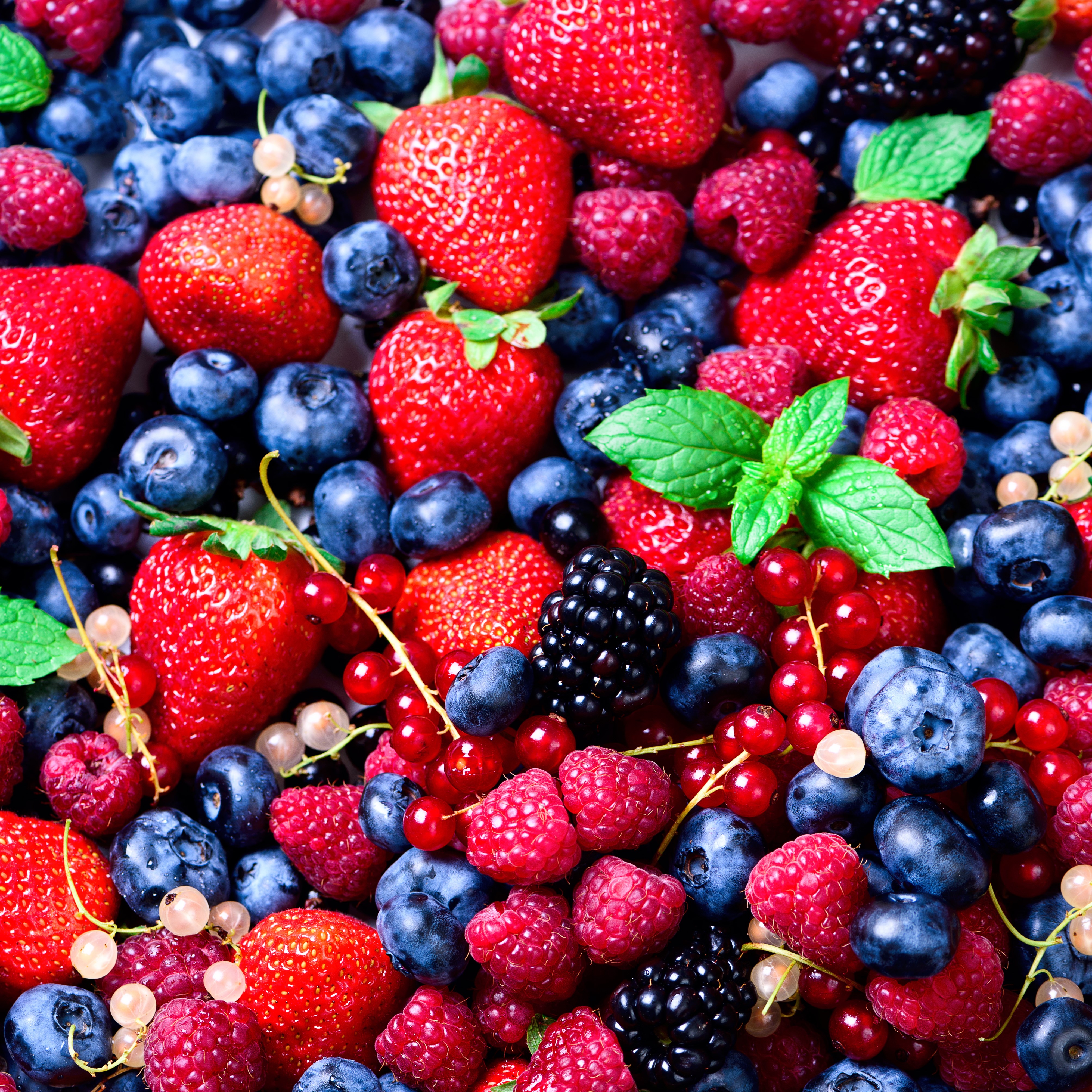 complement-alimentaire-sport-e-dynalife-