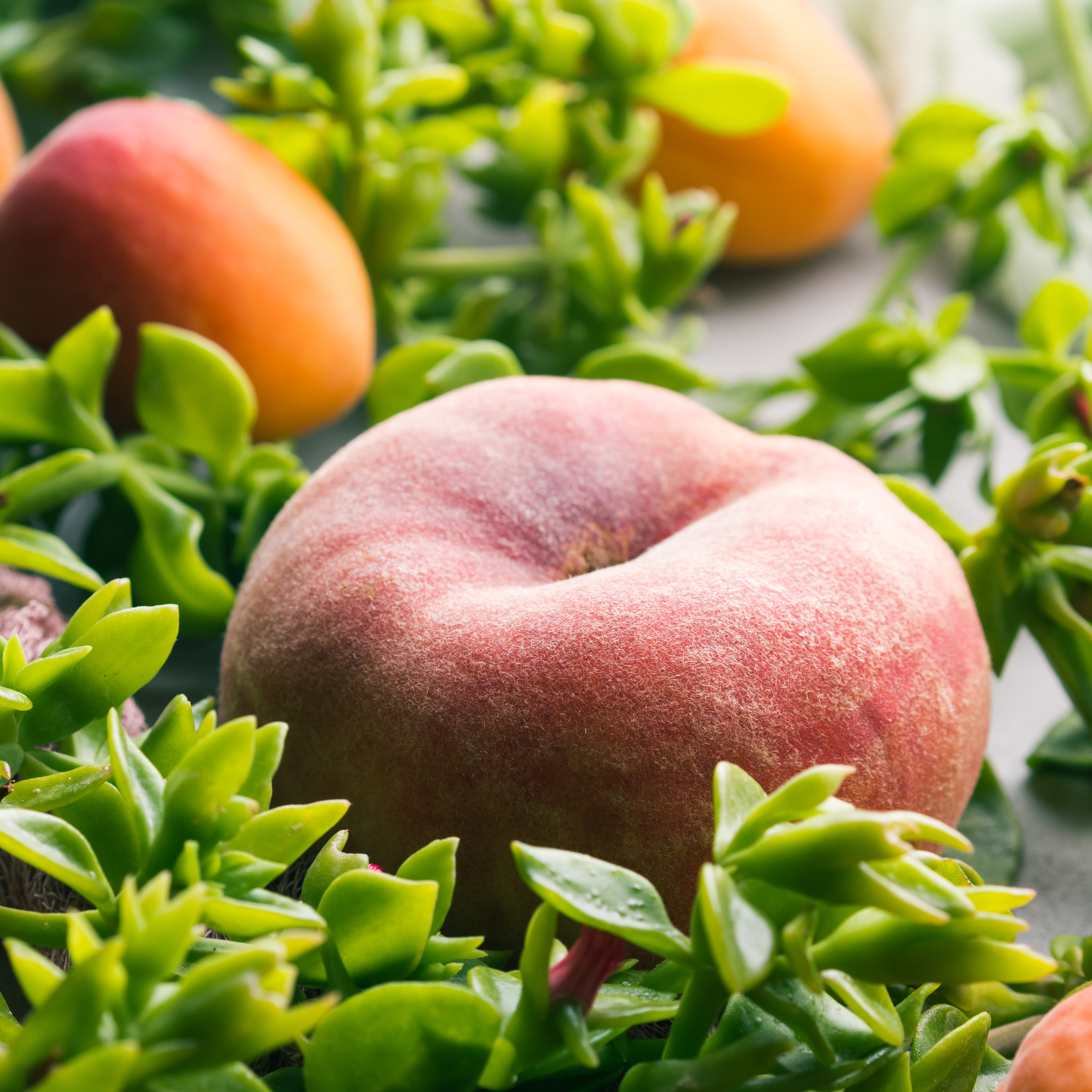 complement-alimentaire-sport-e-dynalife-